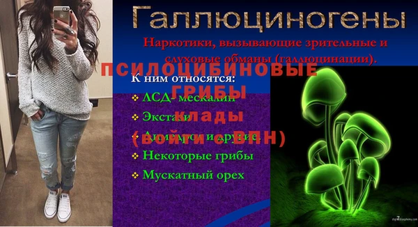 дурь Володарск